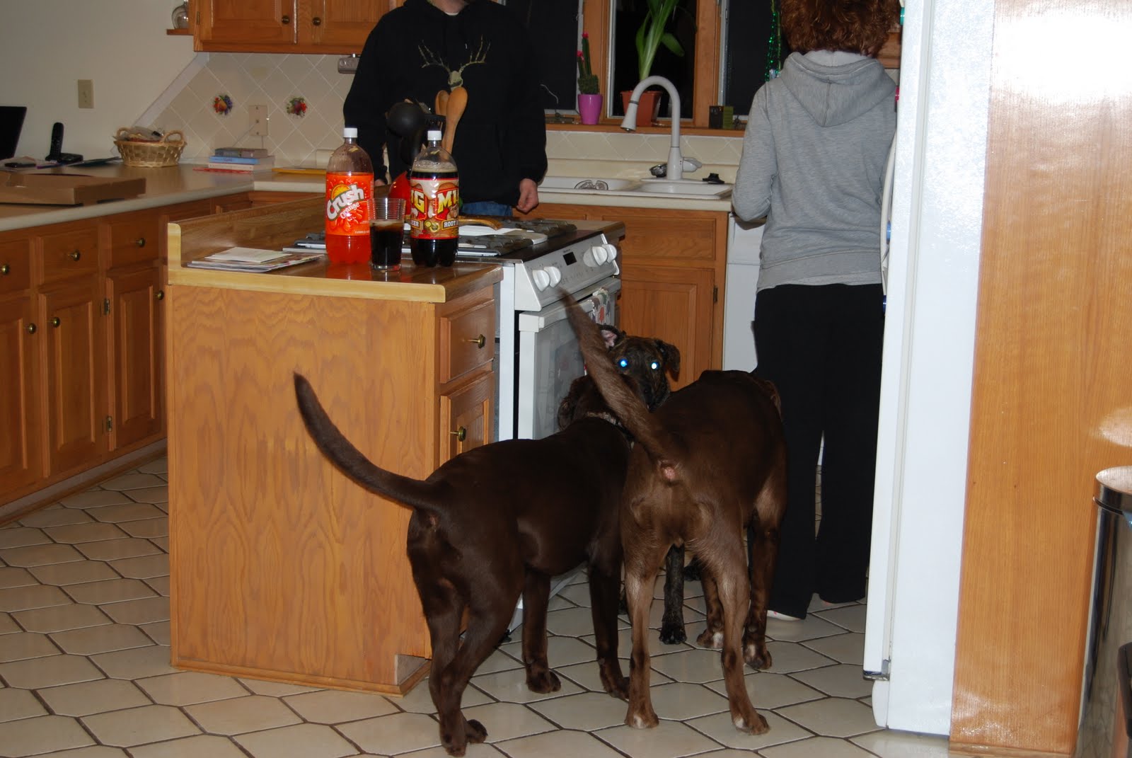 [March+2010+005.jpg]