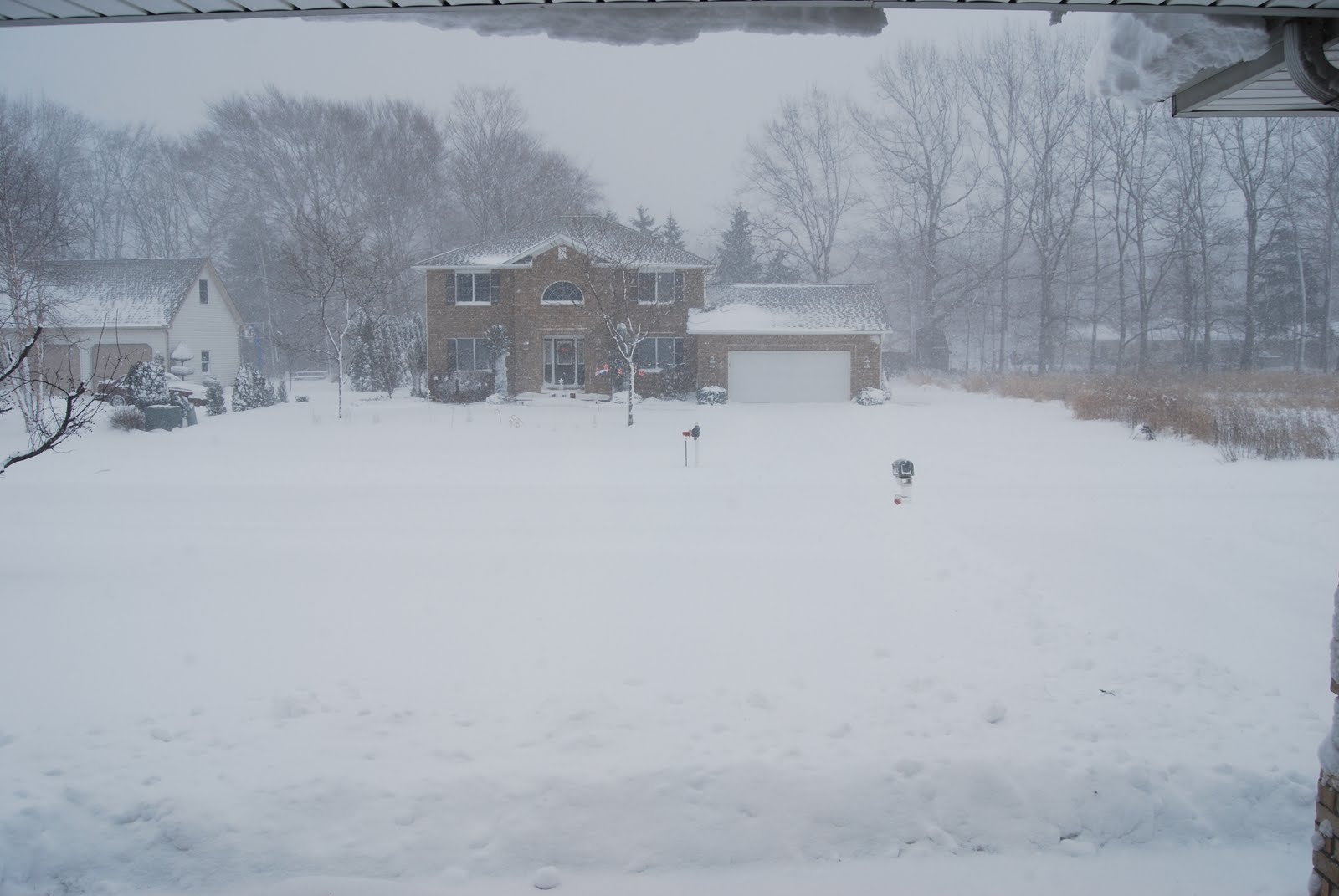 [December+2009+006.jpg]