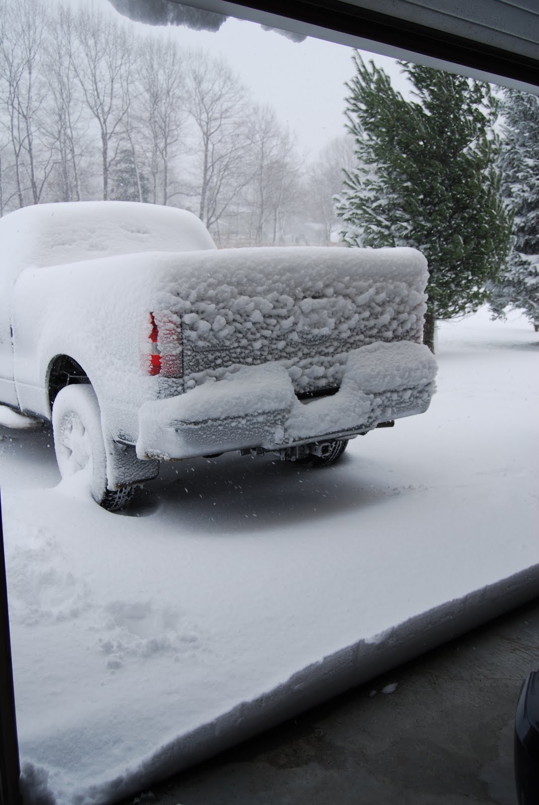 [December+2009+011.jpg]