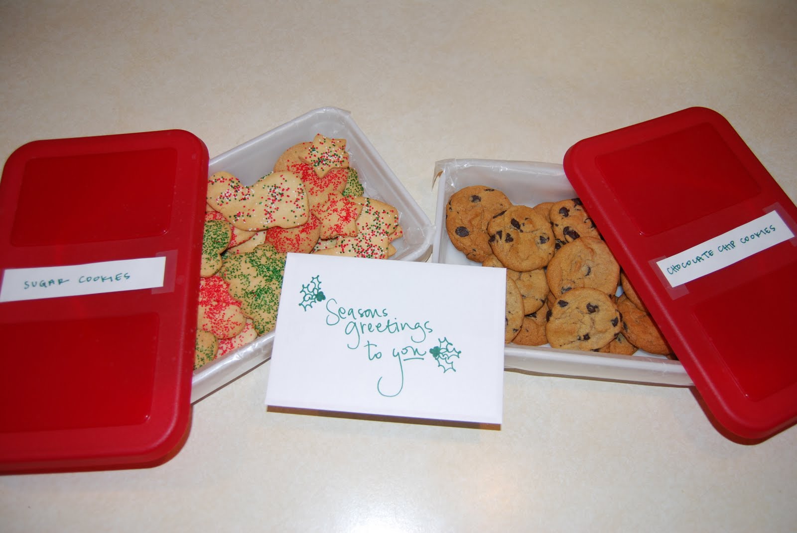 [December+2009+026.jpg]