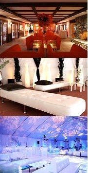 [loungepics.jpg]