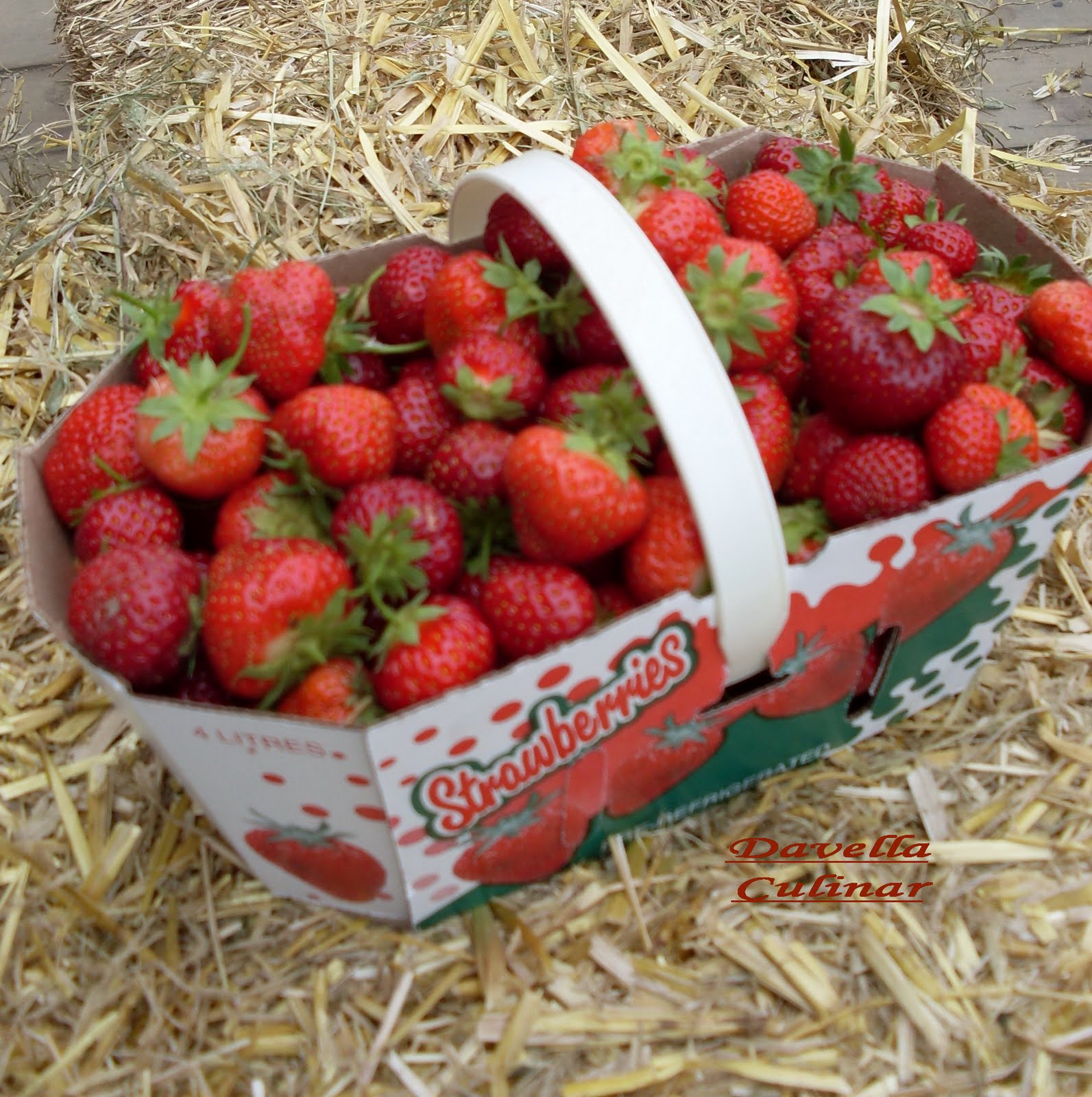 *DAVELLA CULINAR* L’autocueillette de fraises du Québec / La cules de