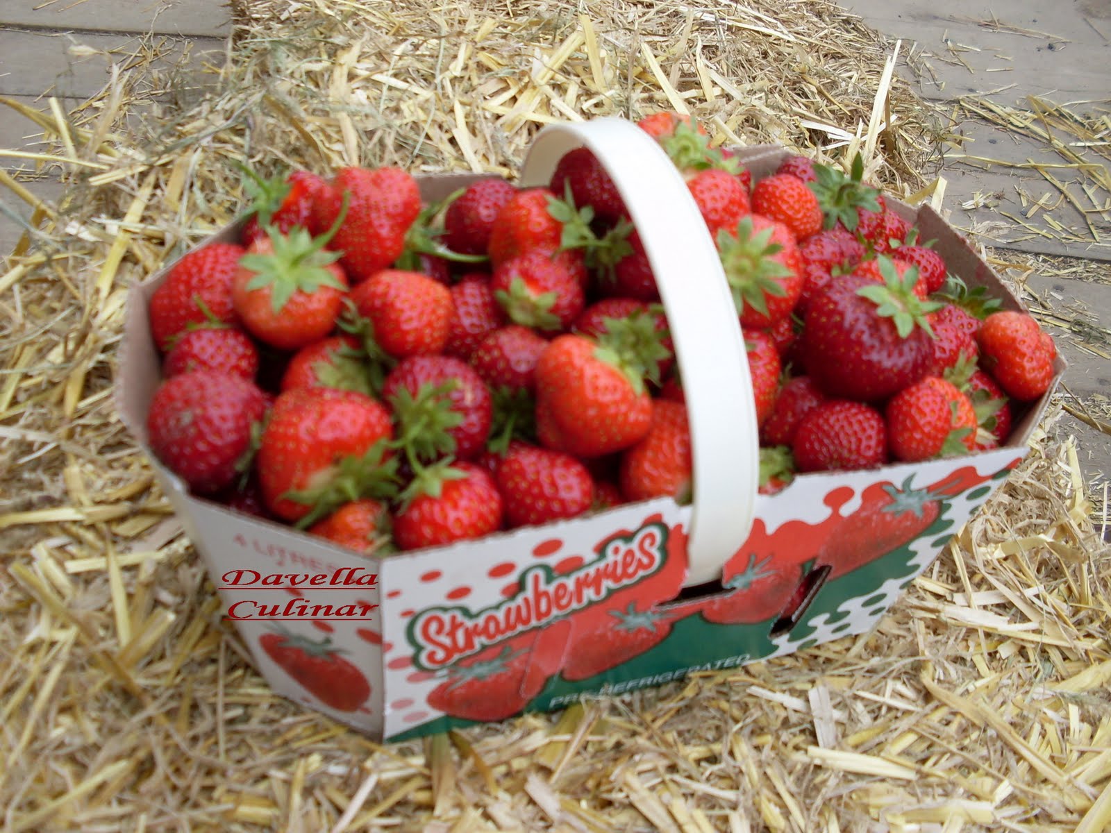 *DAVELLA CULINAR* L’autocueillette de fraises du Québec / La cules de