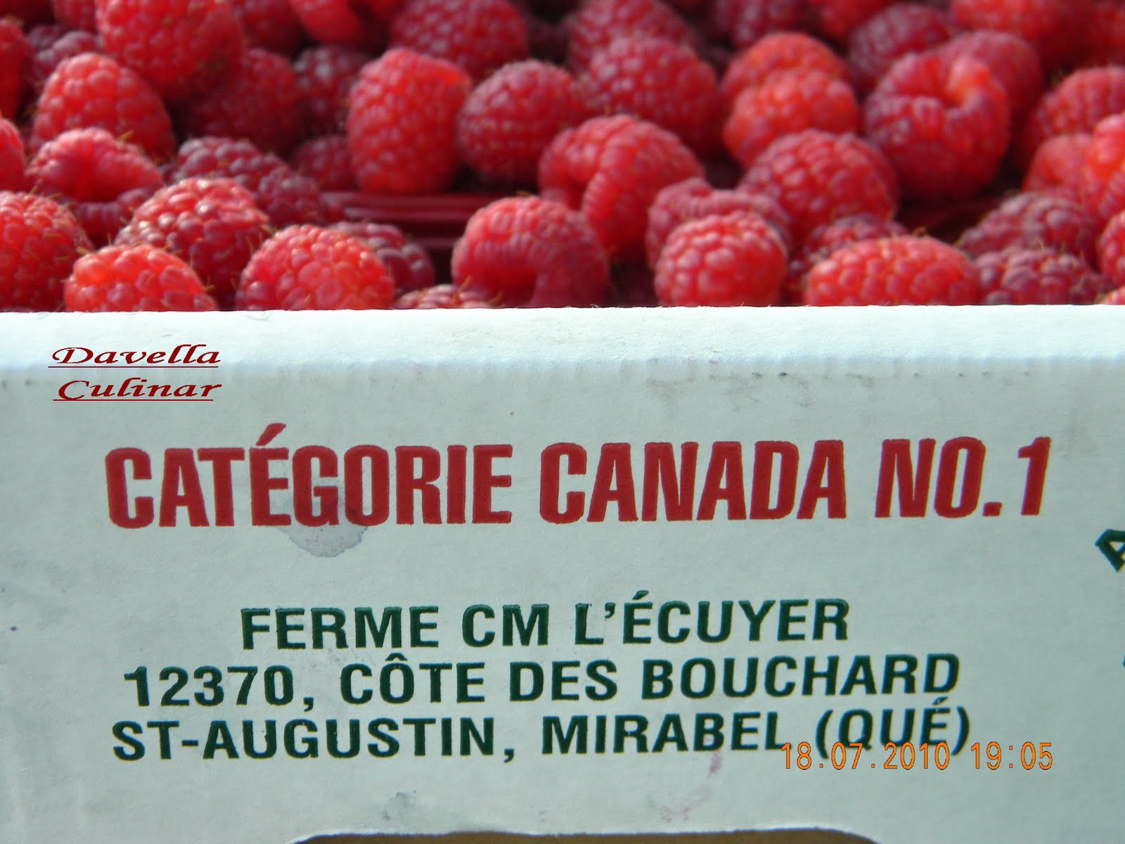 *DAVELLA CULINAR* L’autocueillette de framboises du Québec et Mousse aux framboises / Spuma