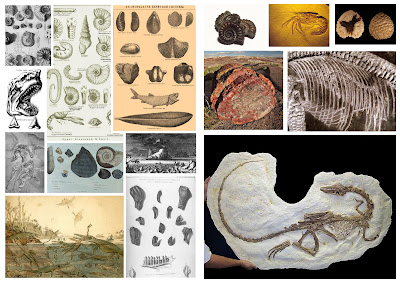 What is the symbology of science? – Guy Keulemans