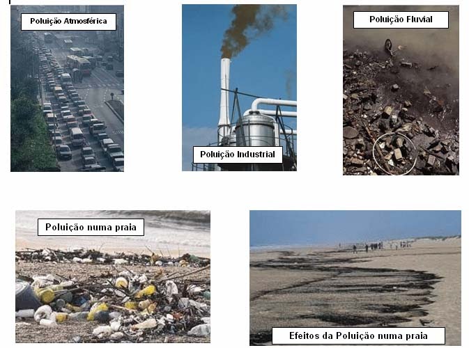 A DEGRADAÇÃO DO MEIO AMBIENTE E