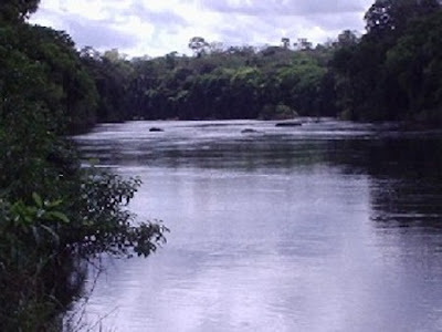 Área de Proteção Ambiental de Curiaú | Amapá