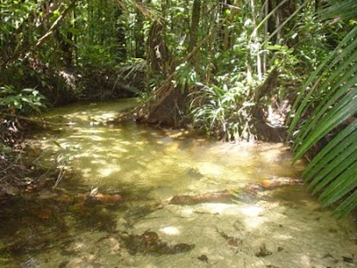 Estação Ecológica de Iquê | Mato Grosso Estação Ecológica de Iquê | Mato Grosso