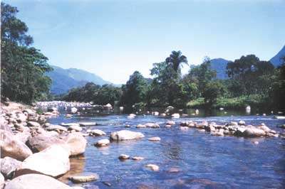 Área de Proteção Ambiental de Guaratuba | PR Área de Proteção Ambiental de Guaratuba | PR