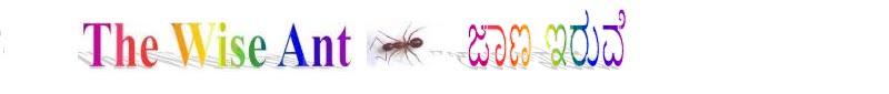 The Wise Ant
