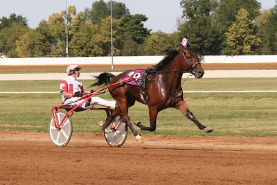 dior x nike jordan 1