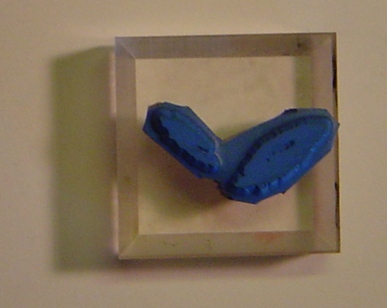 [Treasure+It+Leaves.JPG]