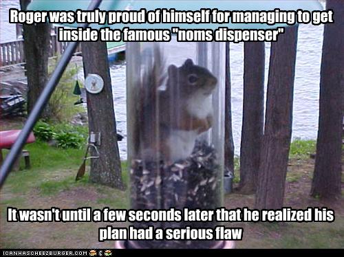 http://3.bp.blogspot.com/_snPVqL-D8Uc/TDXWCHpzkiI/AAAAAAAAAMA/qzAnssrur-U/s1600/funny-pictures-squirrel-had-a-bad-plan.jpg