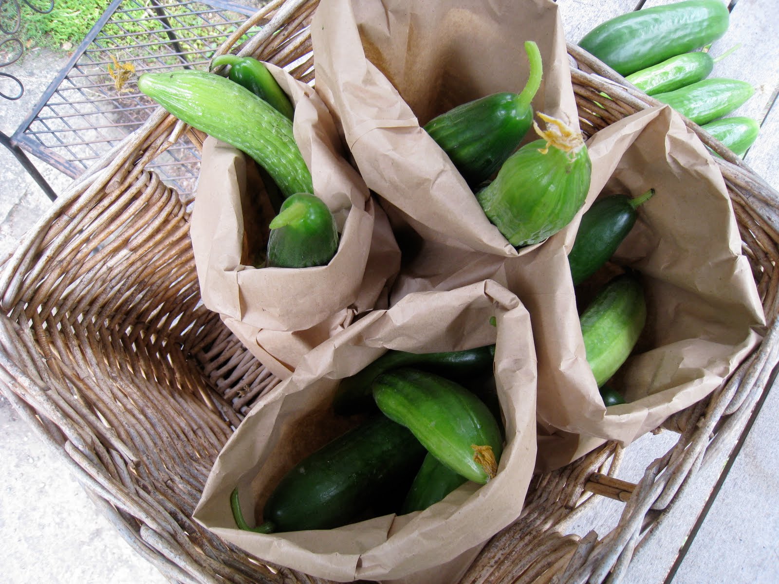 Christina's Garden cucumbers