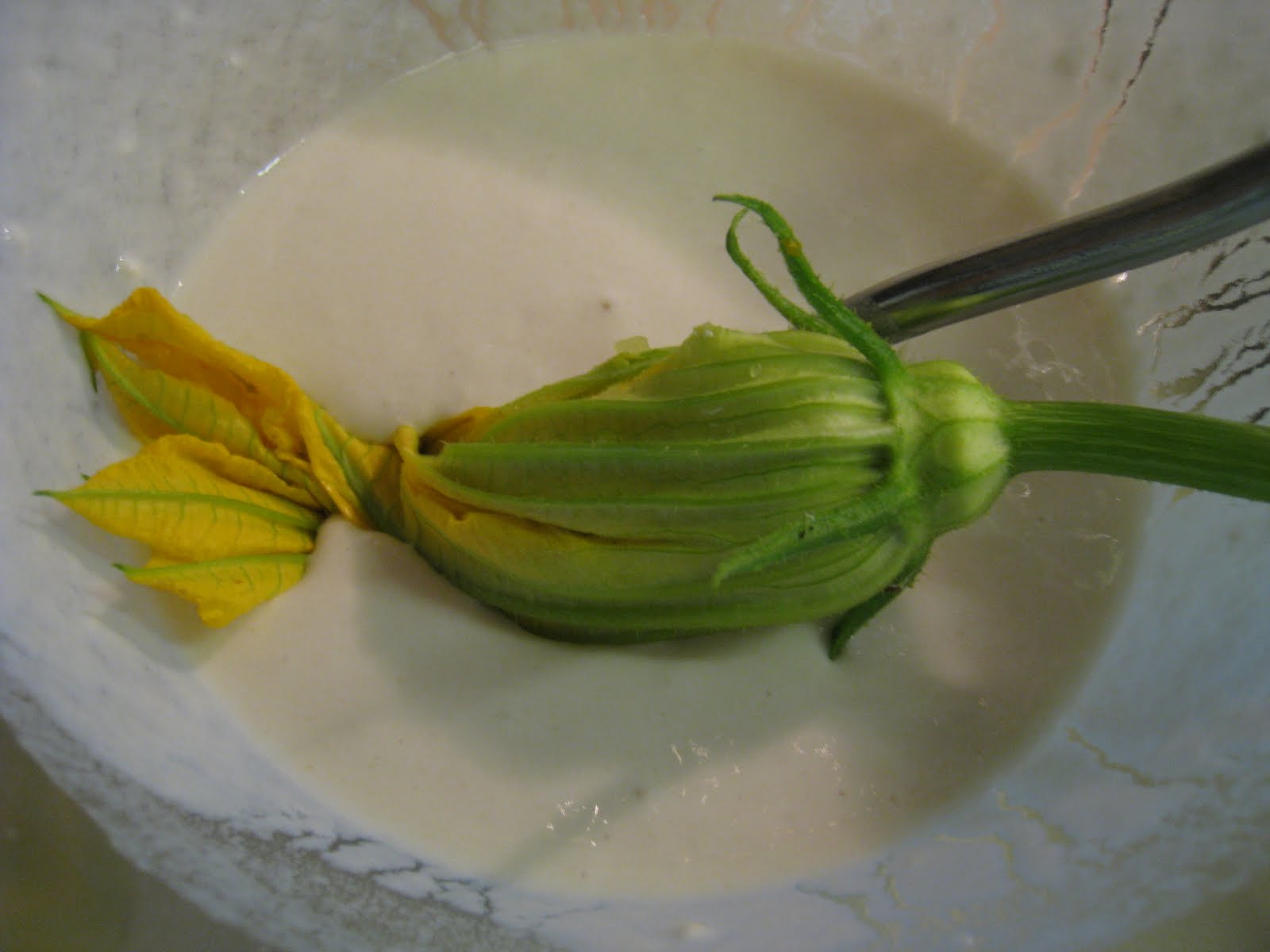 Christina's Garden zucchini blossoms
