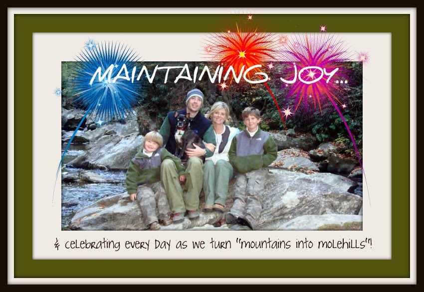 Maintaining Joy
