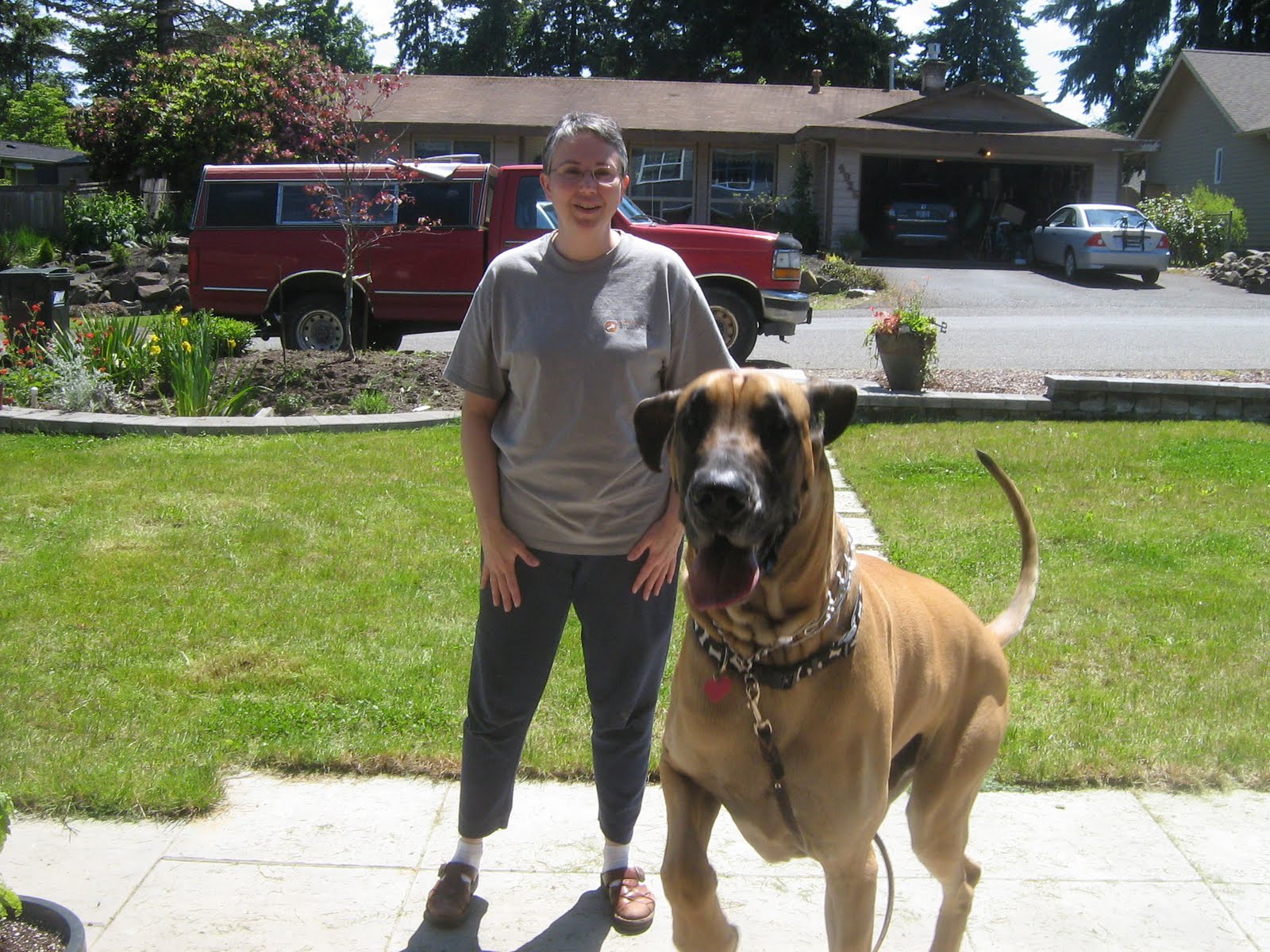 I'm keeping busy... Marmaduke lives across the street from me!