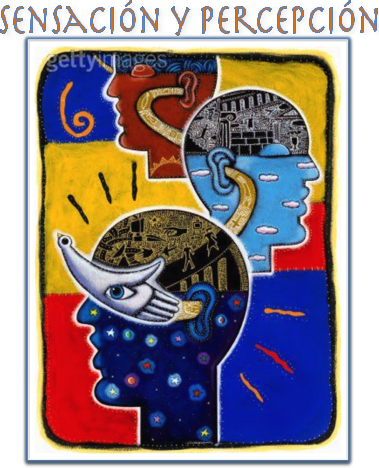 Sensación y percepción