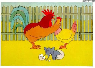 gallina.jpg