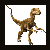 Dinosaur Head To Toe
