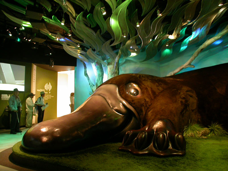 Gay Sauna Charlotte Nc