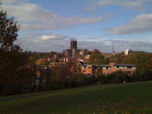 Worcester Cathedral from Fort Royal