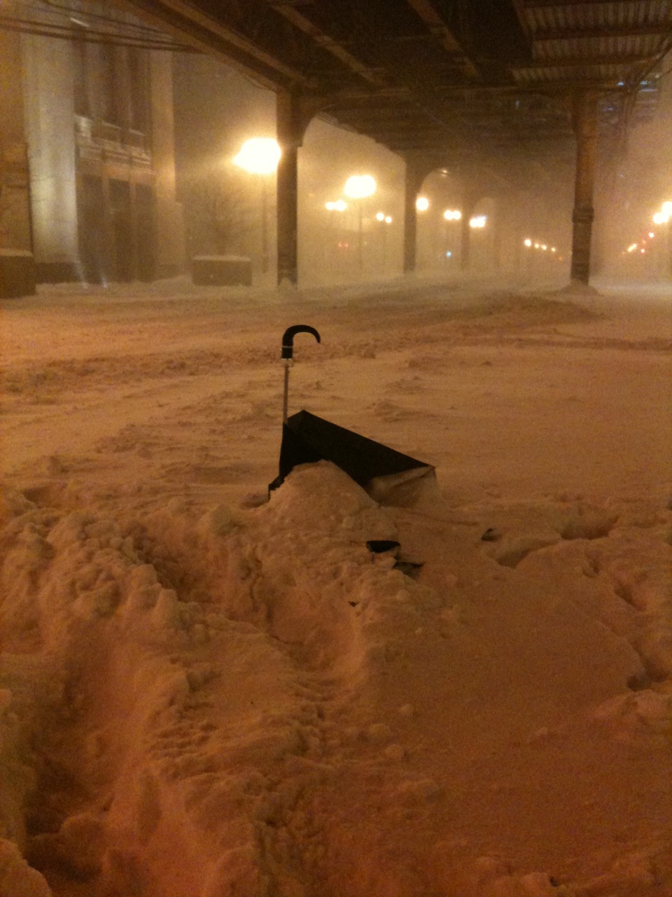 Chicago Daily Photo February 2011