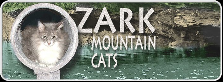 Ozark Mountain Cats