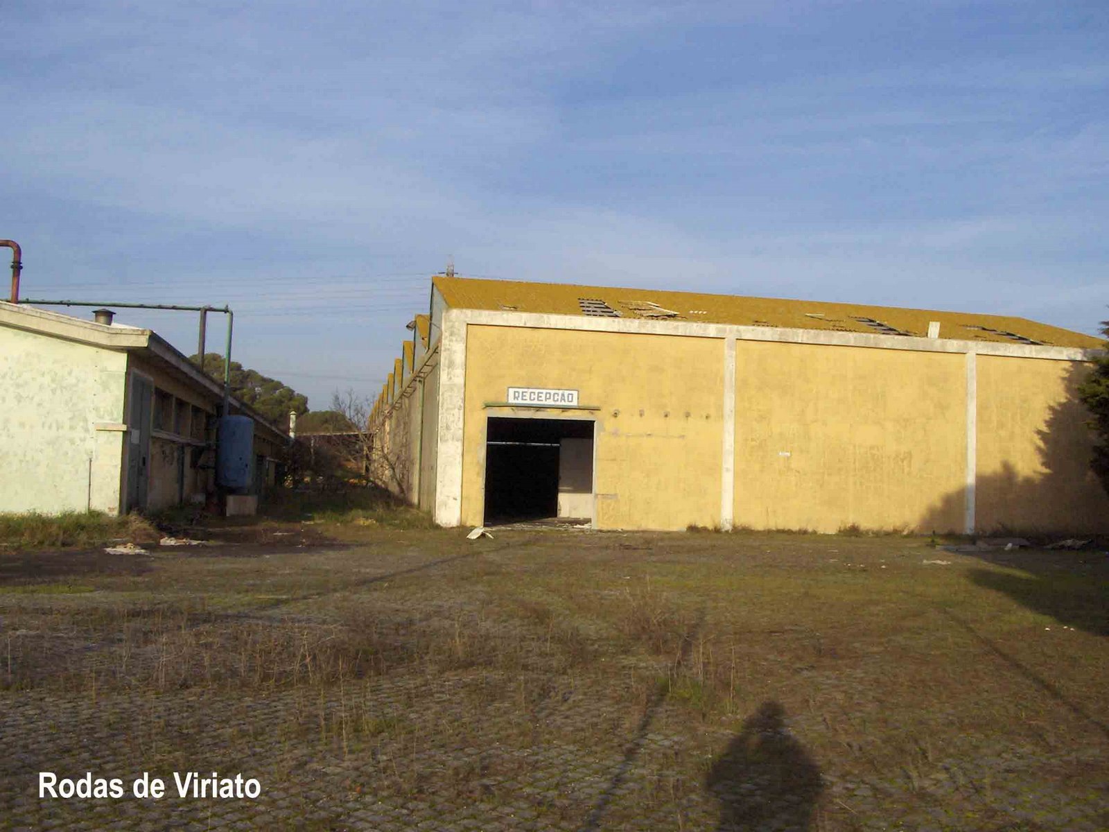 [movauto+recepcao.jpg]