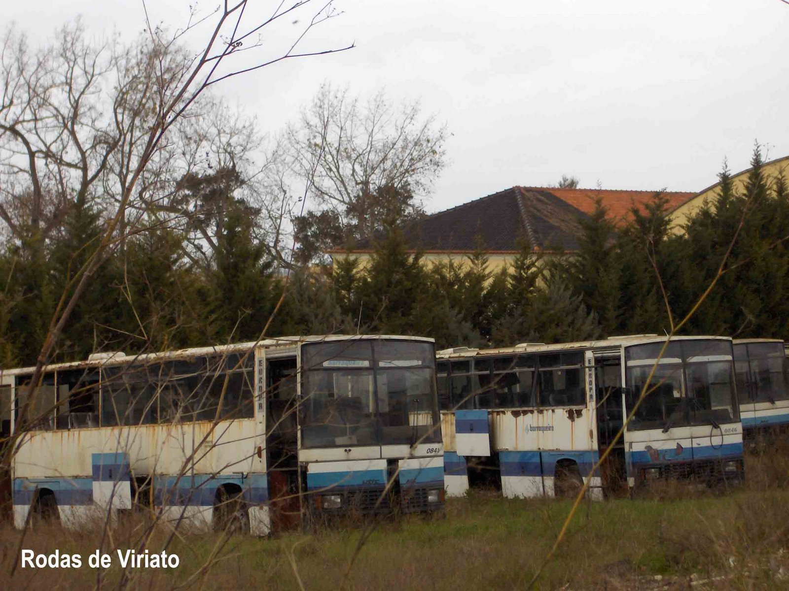 [utic+aec+empresa+barraqueiro.jpg]