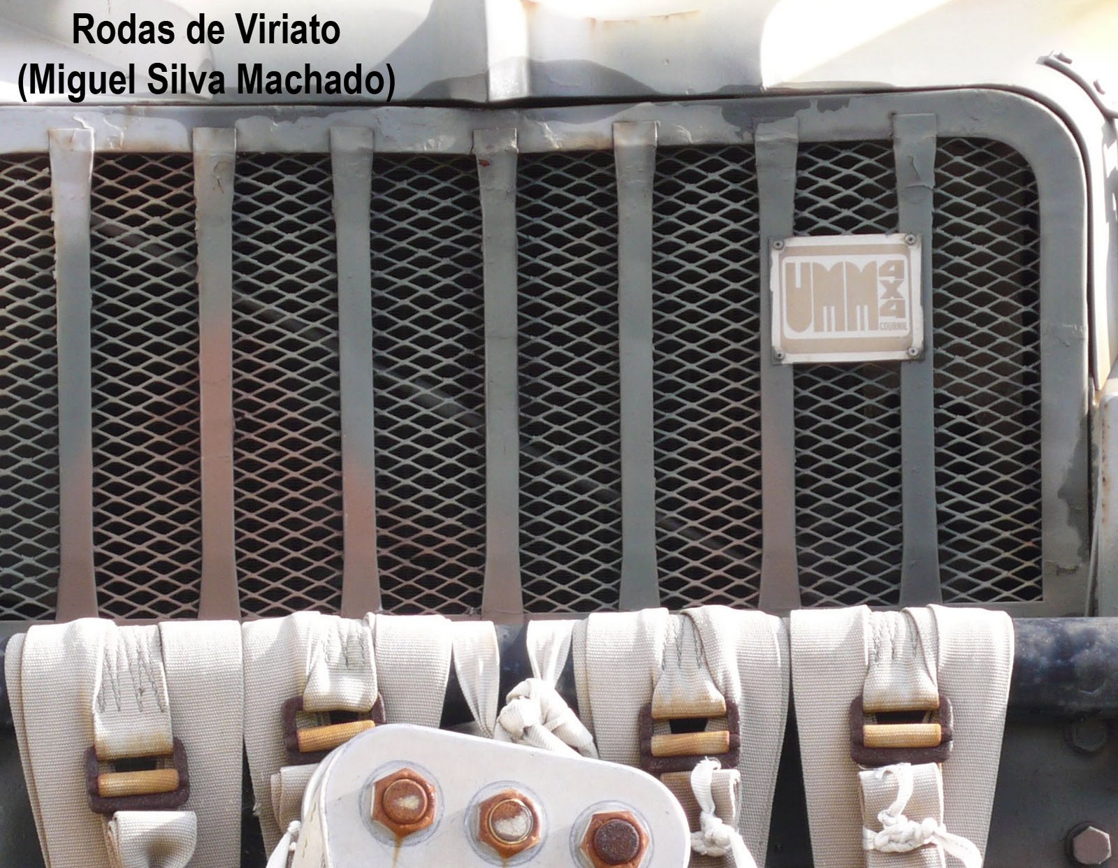 [UMM_LAPES_6_RV.jpg]