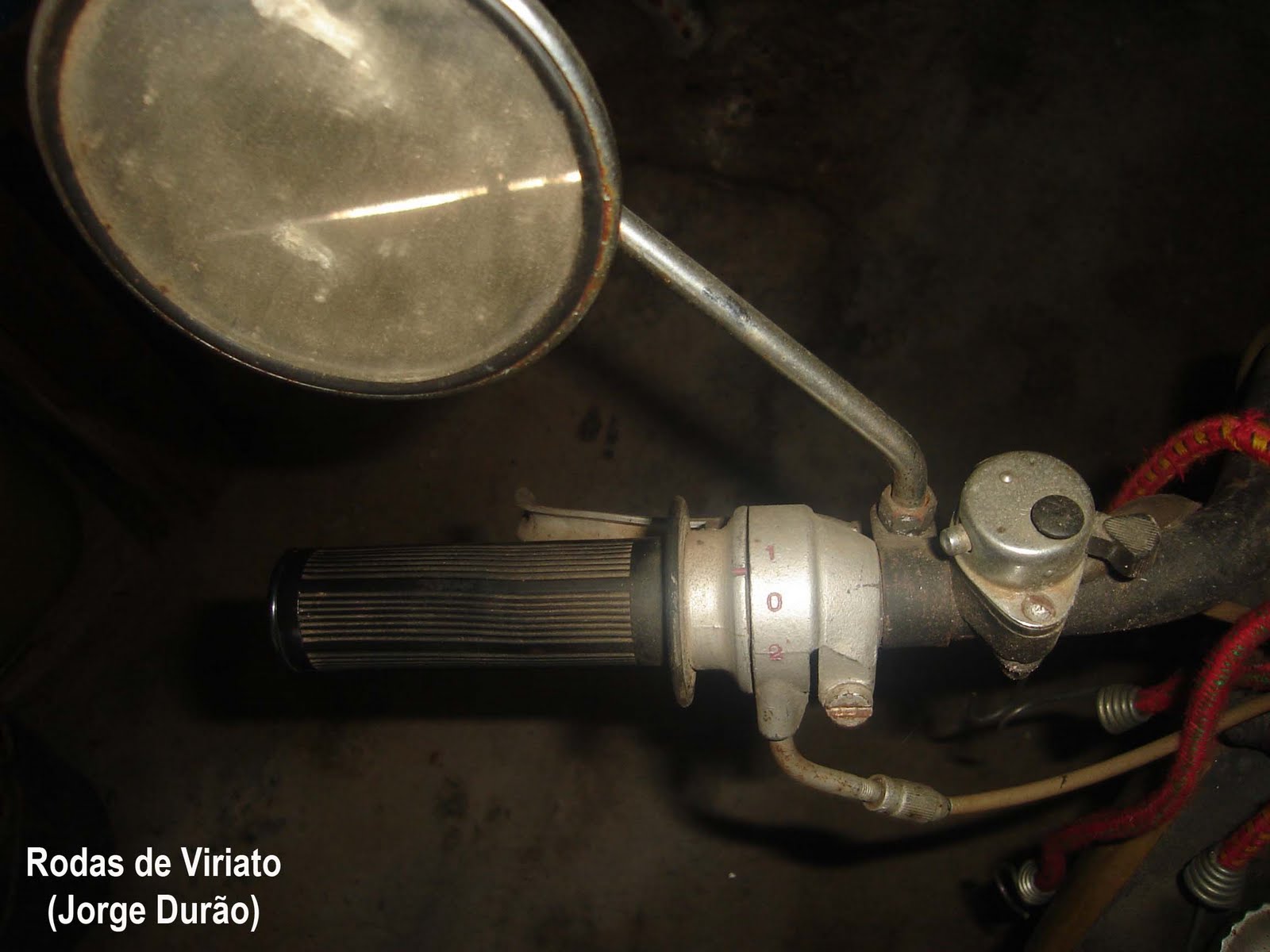 [guri+dourada+mudancas.jpg]