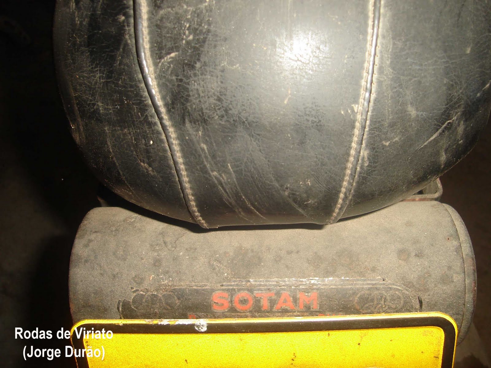 [guri+dourada+sotam.jpg]