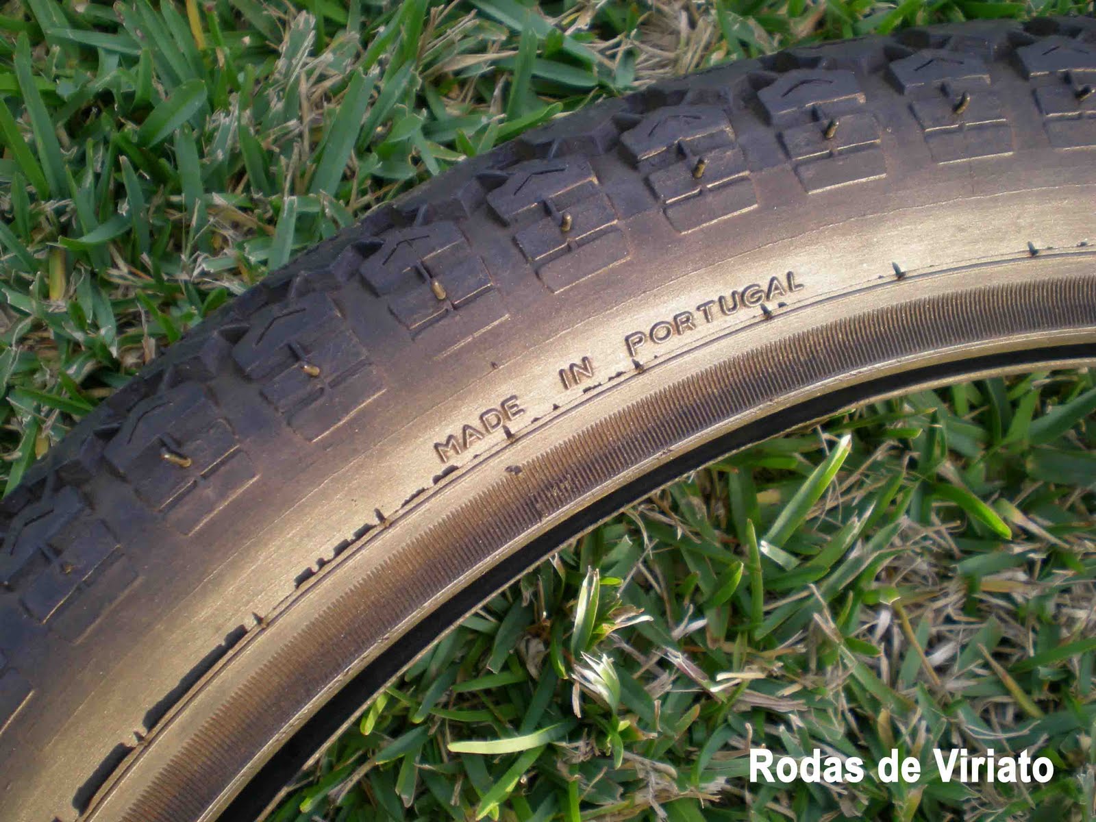 [cnp+c81b.jpg]