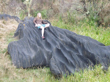 Giant Man Eating Shell