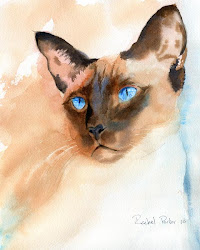 siamese painting cat watercolor chat peinture visiter rachel studio sparad fran aquarelle
