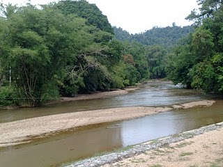Pelancongan Terengganu: Hutan Simpan Pasir Raja