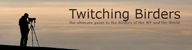 Twitching Birders