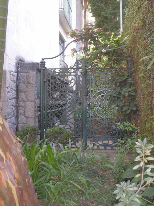 [portaoveridiana.jpg]