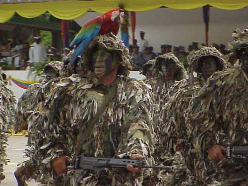 [festa+chavista.jpg]
