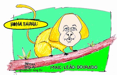 [mico+leão.jpg]