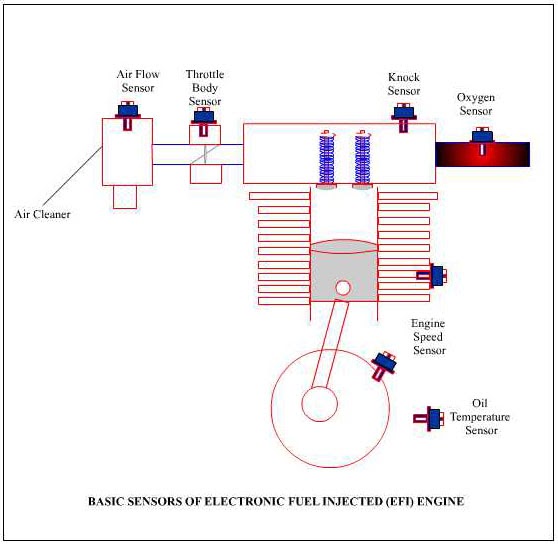 MadMan: Electronic Fuel Injection (ECU)