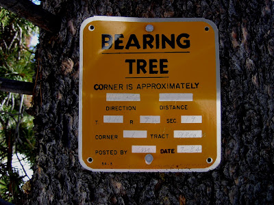 “Original” Bearing And Line Trees – OMHYT