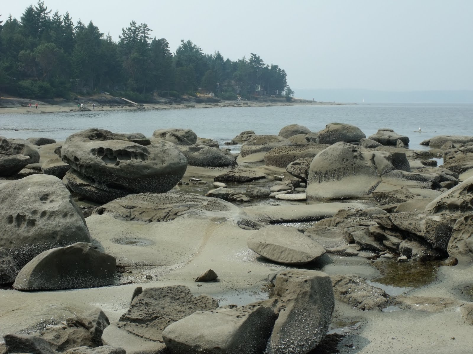 Catching up with the Krazy Kramers: Gabriola Island and yes the Kramer ...