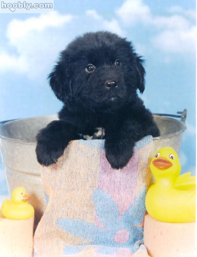 [de204113eb5bfed96890ce77052bc9cc.jpg]