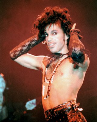 [Prince-11.JPG]