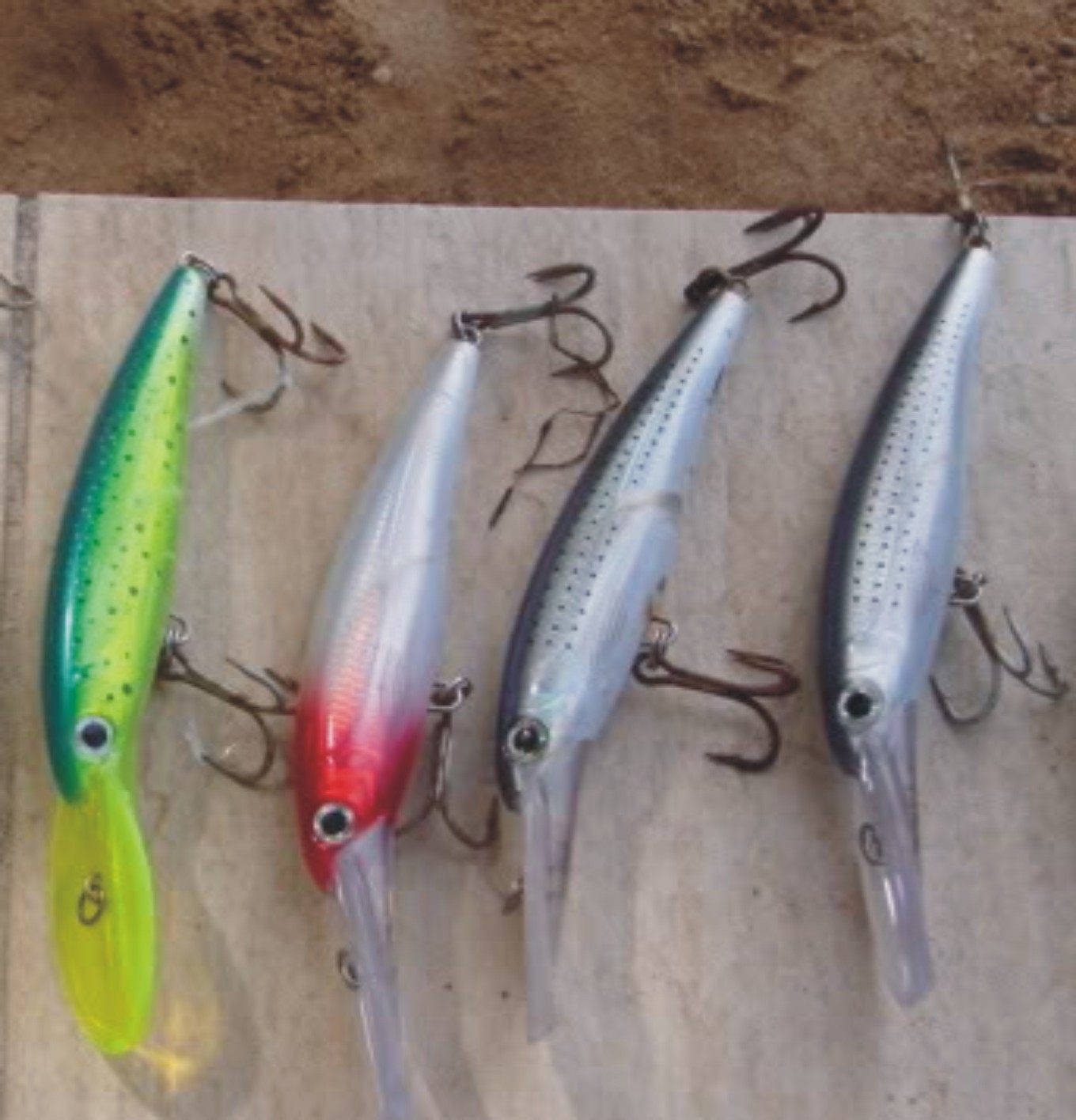 Sé un Antídoto LA CARNADA PERFECTA