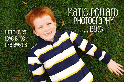 Katie Pollard Photography