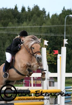 [soderhamnshoppet.jpg]