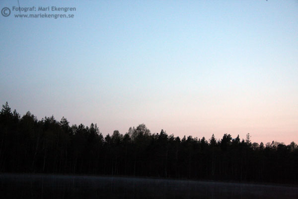 [2009-05-06+072.jpg]